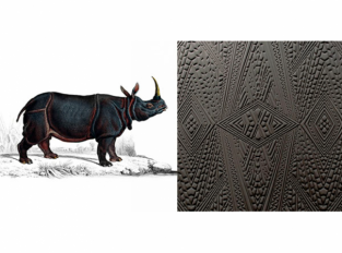 Extinct Animals - Dwarf Rhino