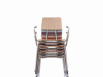 Židle Stan 